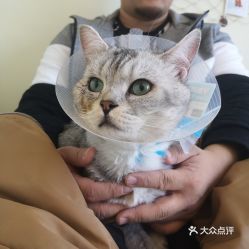 电话,地址,价格,营业时间 北京宠物