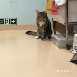 电话,地址,价格,营业时间 图 广州宠物