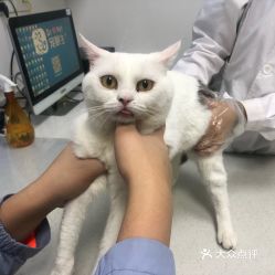电话,地址,价格,营业时间 沈阳宠物