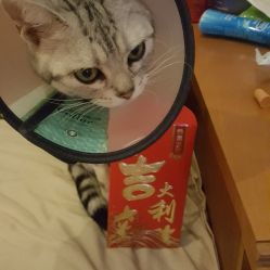 美联众合动物医院 新风分院