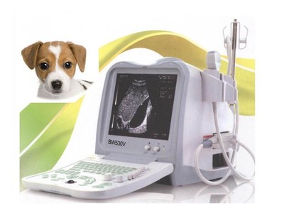 兽用B型超声诊断仪D600VET_西宁宠物医院_西宁小动物诊疗中心
