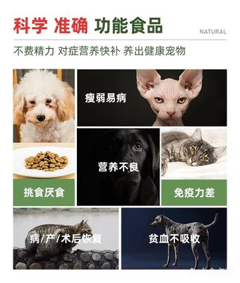 【福懋动物医院团购】-大众点评网团购