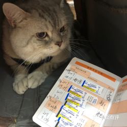 电话,地址,价格,营业时间 北京宠物