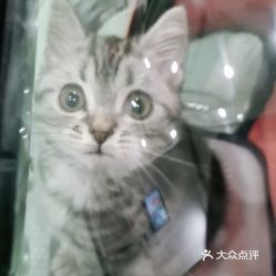 电话,地址,价格,营业时间 图 昆明宠物