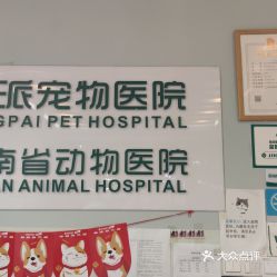瑞派湖南省动物医院·