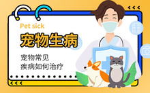宠物食品 用品频道 宠物食品 宠物用品 maigoo网