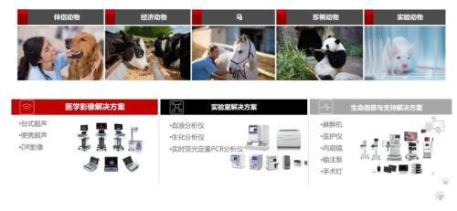 没有政策压制,迈瑞、联影正悄然布局600亿消费医疗市场