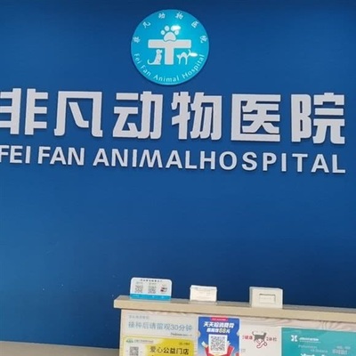 非凡动物医院