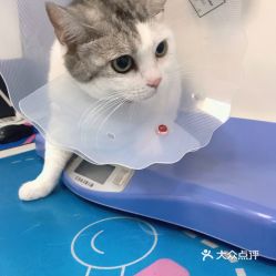 电话,地址,价格,营业时间 北京宠物