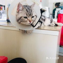电话,地址,价格,营业时间 北京宠物
