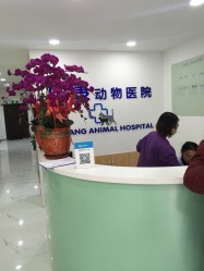 贝康动物医院(长宁店)的全部评价-上海-大众点评网