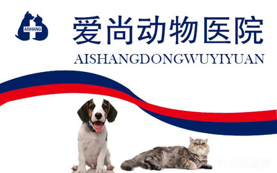 【爱尚动物医院团购】