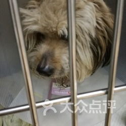 芭比堂动物医院 缘爱分院