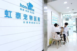 杭州宠物医院专业为您的宠物提供贴心的服务