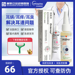 【法国猫咪】最新法国猫咪/批发报价