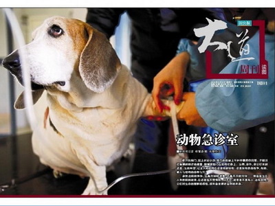 【新快报】动物急诊室
