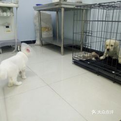 电话,地址,价格,营业时间 北京宠物