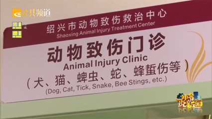 近期高发!绍兴医院一天接诊40例,有阿姨被仓鼠咬伤