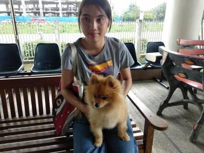 听说泰国随处可见美女,真实情况是怎样的?