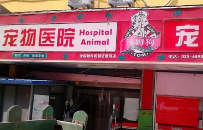 北京宠物美容