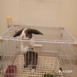 浙江大学动物科学学院附属动物医院详细信息