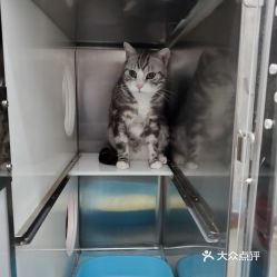 杭州宠物动物医院综合指南 电话、地址、价格与营业时间