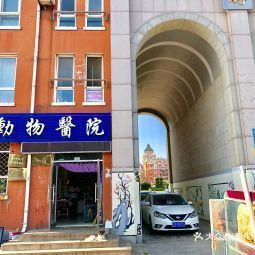 万圣动物医院详细指南 地址、电话及地图信息