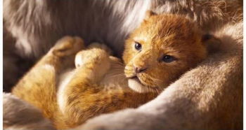 重温童年，温暖同行——米乐动物医院VIP免费观影活动回顾