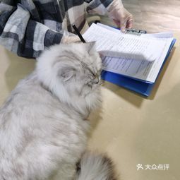 贵阳牧济堂动物医院观山湖分院——专业守护宠物健康的温馨港湾