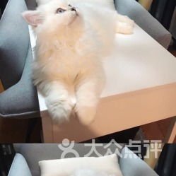 全心全意连锁动物医院管庄店 关爱宠物，健康相伴